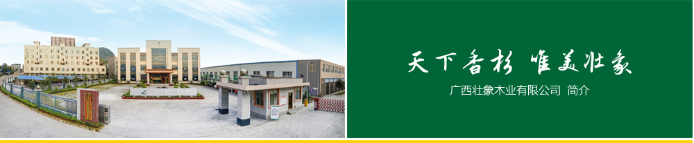 天下香杉，唯美壯象