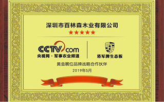 CCTV戰略合作伙伴