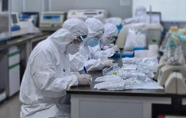 冠狀病毒下的中國木材市場