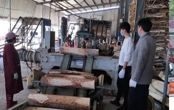 葉集區孫崗鄉：全面恢復木材加工車間經營生產