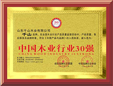 中國木業行業30強