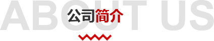 公司簡介