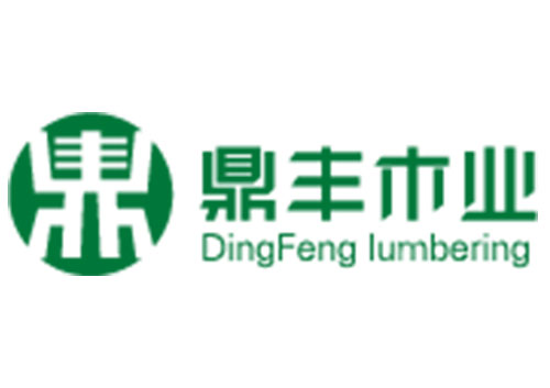 鼎豐