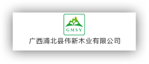 廣西偉新集團有限公司